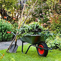 weua.dev board category: For garden and summer cottage